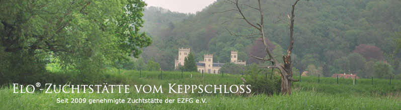 Elo - Zuchtst�tte vom Keppschloss Seit 2009 genehmigte Zuchtst�tte der EZFG e.V.