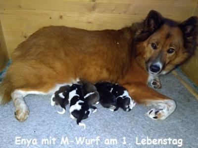 Enya mit M-Wurf