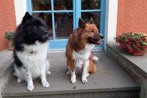 Enya und Rufus