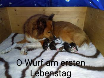 Enya mit O-Wurf