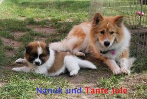 Nanuk mit Tante Jule