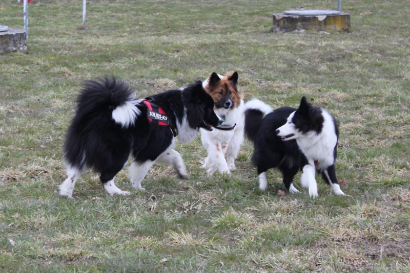 Bolle, Brenda, Blanka