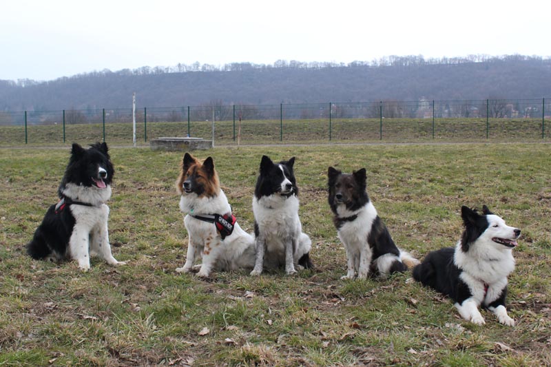 Bolle, Brenda, Mama Luna, große Schwester  Aisha und Blanka